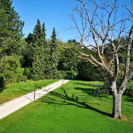 Rheinblick, Sport-pool * קובלנץ