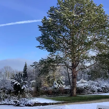 Apartamento Rheinblick, Sport-pool