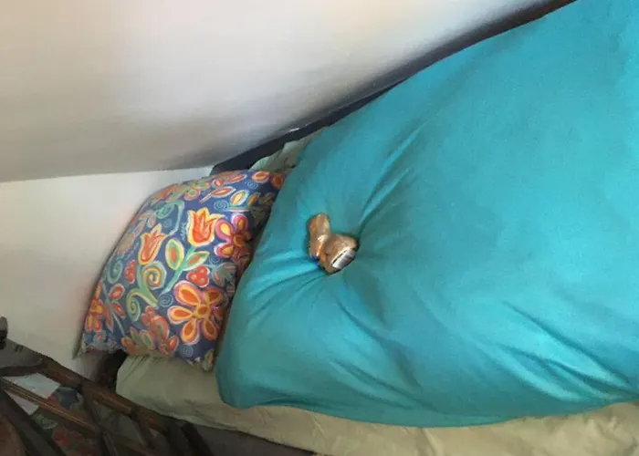 Rheinblick, Sport-pool 아파트 코블렌츠