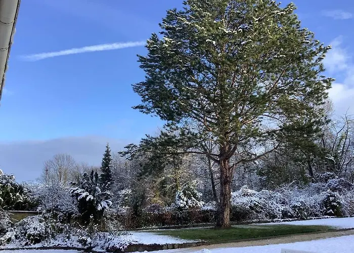 아파트 Rheinblick, Sport-pool